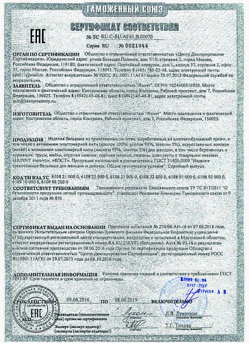 ТАМОЖЕННЫЙ СОЮЗ